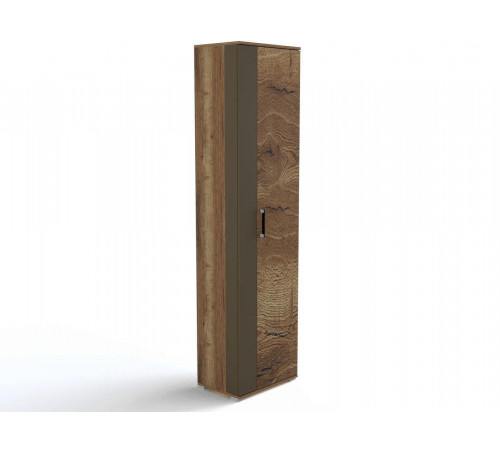 Шкаф-пенал для одежды ПХ-1 (ДГТ) Ханна